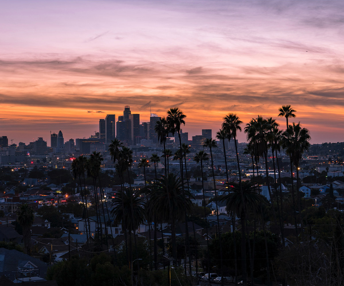 Los Angeles Nightclub